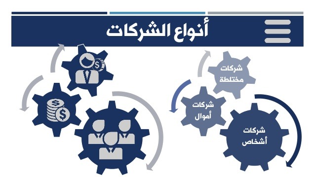 الفرق بين أنواع الشركات في القانون المصري