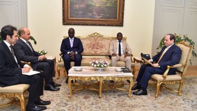صورة الرئيس السيسي يستقبل المبعوث الشخصي لرئيس جمهورية غينيا بيساو