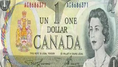 صورة سعر الدولار الكندي في البنك الأهلي اليوم الجمعة 6-9-2019