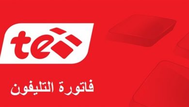 صورة رابط الاستعلام عن فاتورة التليفون الأرضي 2021 بالرقم