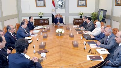 صورة الرئيس يناقش نشاط مصر الأفريقي في اجتماع ضم رئيس الحكومة وعدد من الوزراء