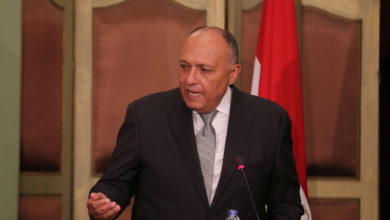 صورة أبرز تصريحات وزير الخارجية عن سد النهضة أمام النواب