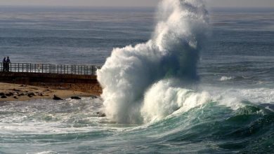 صورة ارتفاع موج البحر 6 أمتار ووزارة السياحة تحظر الأنشطة البحرية ورحلات السفاري بسبب الطقس السيئ