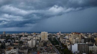 صورة برودة وأمطار.. حالة الطقس اليوم في مصر اليوم الجمعة 9-4-2021 ودرجات الحرارة المتوقعة