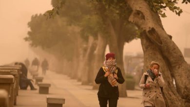 صورة بالفيديو| الأرصاد تكشف حقيقة عاصفة “التنين”.. وتحذير من الأيام القادمة