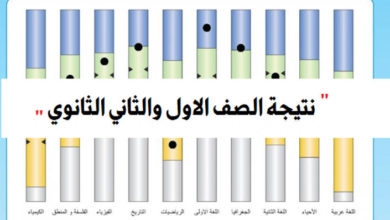 صورة للحصول على نتيجة الصف الأول والثاني الثانوي..اتبع الخطوات التالية