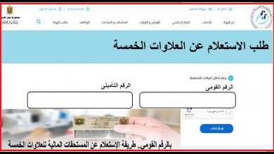 صورة رابط الاستعلام عن العلاوات الخمس لشهر ابريل 2021 بالرقم القومي