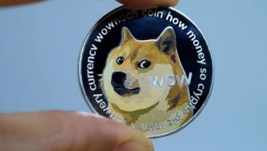 صورة عملة Dogecoin ..تعرف على مميزاتها وعيوبها