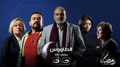 صورة مسلسل الطاووس الحلقة 16.. تعرف على رابط المشاهدة والأحداث