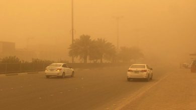 صورة طقس ثالث يوم رمضان.. حار على القاهرة ورياح مثيرة للأتربة