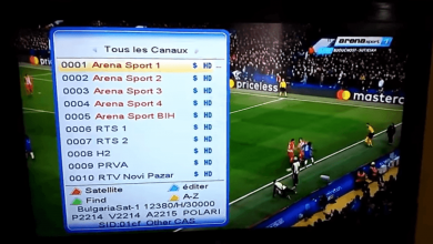 صورة تردد قناة ارينا سبورت الرياضية على النايل سات 2021