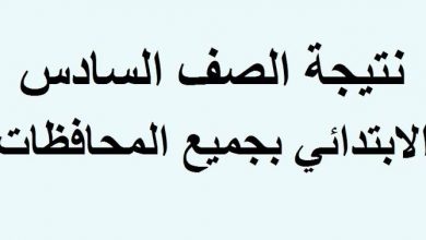 صورة موعد ورابط نتيجة الصف السادس الابتدائي 2021 عبر بوابة التعليم الأساسي