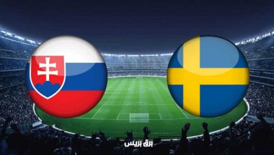 صورة نتيجة مباراة السويد وسلوفاكيا اليوم فى بطولة أمم أوروبا