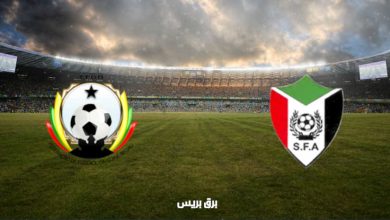 صورة القنوات المفتوحة الناقلة لمباراة السودان وغينيا بيساو فى تصفيات كأس العالم