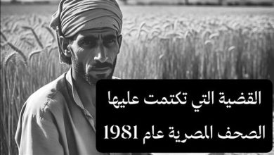 صورة القضية التي تكتمت عليها الصحف المصرية بقلم احمد حسن