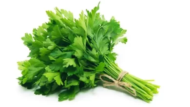 صورة هذا الخضار ېقتل 86% من الخلايا السړطانية في الرئتين والصدر