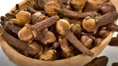 صورة فوائد القرنفل قبل النوم: أسرار ستجعلك تشربه في كل يوم