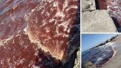 صورة عاجل: علامات البحر المتوسط بدأت بالظهور… الکاړثة ستضرب؟!