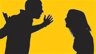 صورة رواية الخېانة العظمي الجزء الأخير