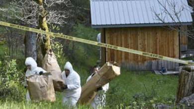 صورة كوخ في الغابة